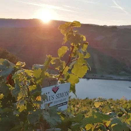 - Loft Mosel & Weinquartier, Balkon, Parkplatz, Moderne Kueche, Bis 8 Personen ピースポルト