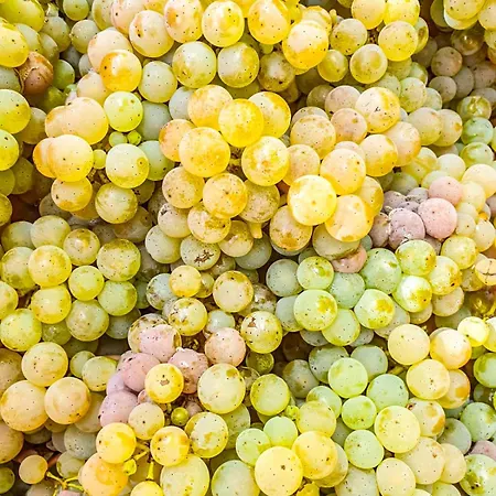 - Loft Mosel & Weinquartier, Balkon, Parkplatz, Moderne Kueche, Bis 8 Personen アパート *