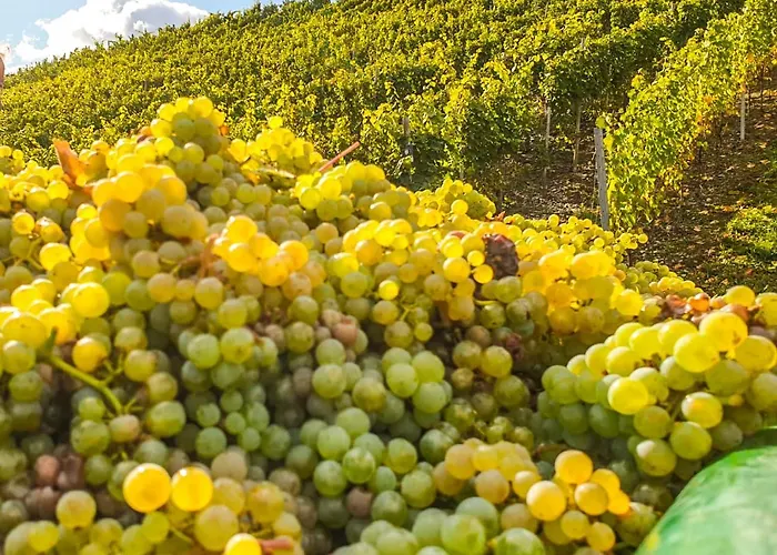 - Loft Mosel & Weinquartier, Balkon, Parkplatz, Moderne Kueche, Bis 8 Personen דירה פיספורט