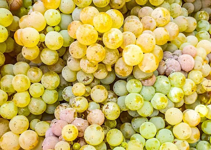 - Loft Mosel & Weinquartier, Balkon, Parkplatz, Moderne Kueche, Bis 8 Personen דירה *