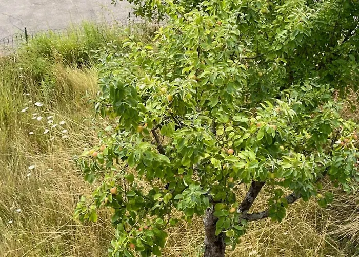 דירה - Loft Mosel & Weinquartier, Balkon, Parkplatz, Moderne Kueche, Bis 8 Personen